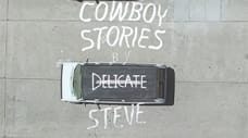 Delicate Steve - "Cowboy Stories"