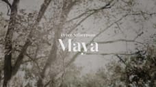 Peter Silberman - Impermanence at The Glass House | Part Four: "Maya"