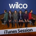 Wilco - iTunes Sessions