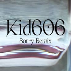 Danny Elfman - Sorry (Kid606 Remix)