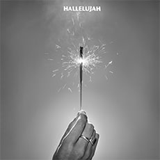 Delicate Steve - Hallelujah