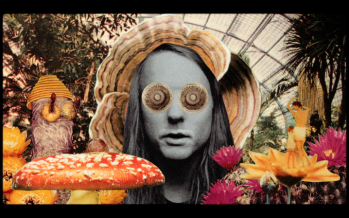 Andy Shauf Debuts Video Via Stereogum