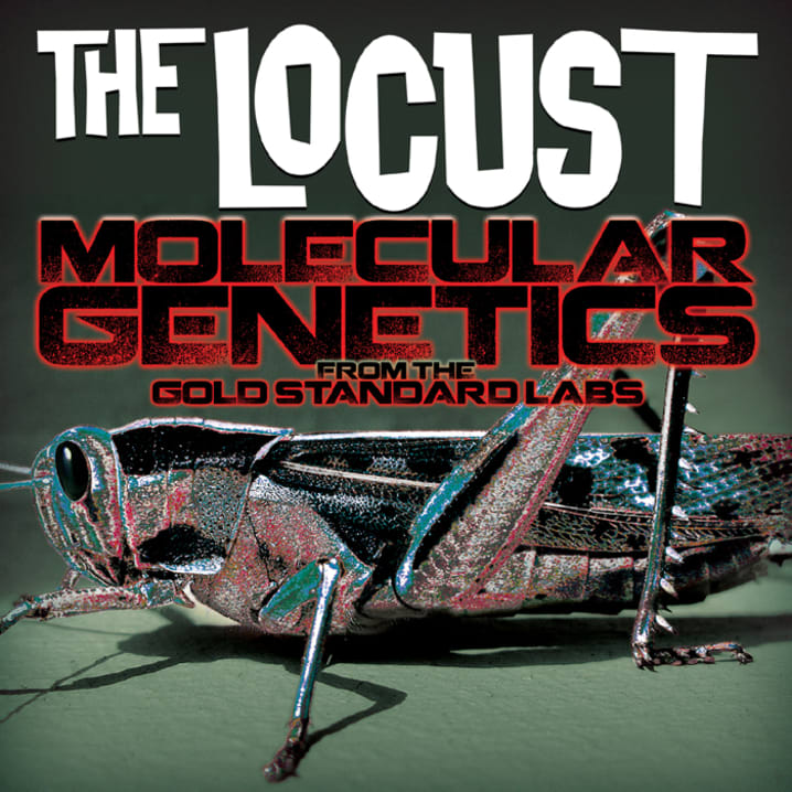 THE LOCUST MOLECULAR GENETICS FROM THE GOLD STANDARD LABS OUT JULY 31 VIA ANTI- RECORDS