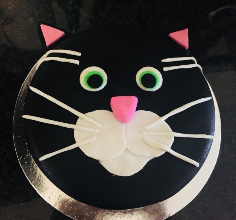 Cat birthday cake