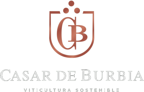 Casar de Burbia