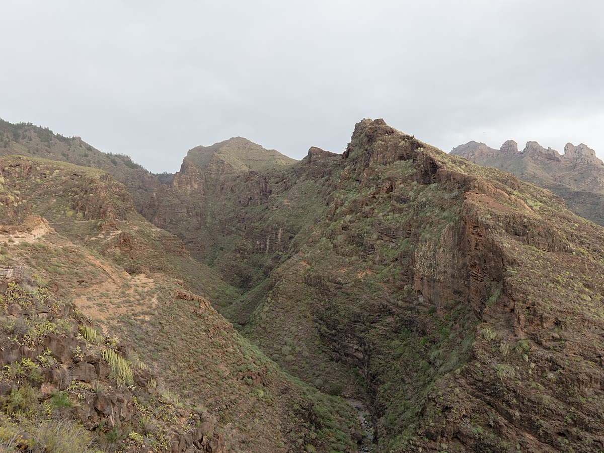 Vista del cañón del Barranco del Infierno en Adeje, Tenerife