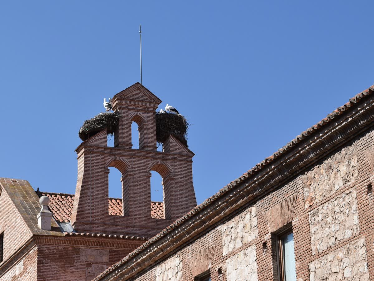 Torre histórica de ladrillo con nido de cigüeñas en Alcalá de Henares