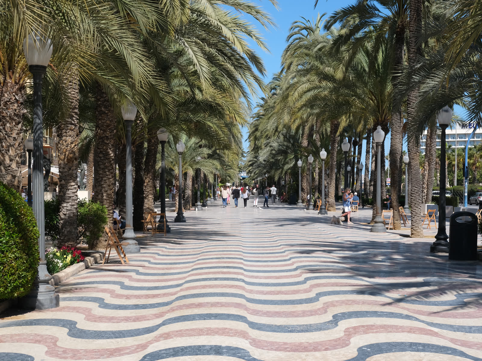 Enlosado ondulado de mármol de la Explanada de España en Alicante, flanqueado por palmeras