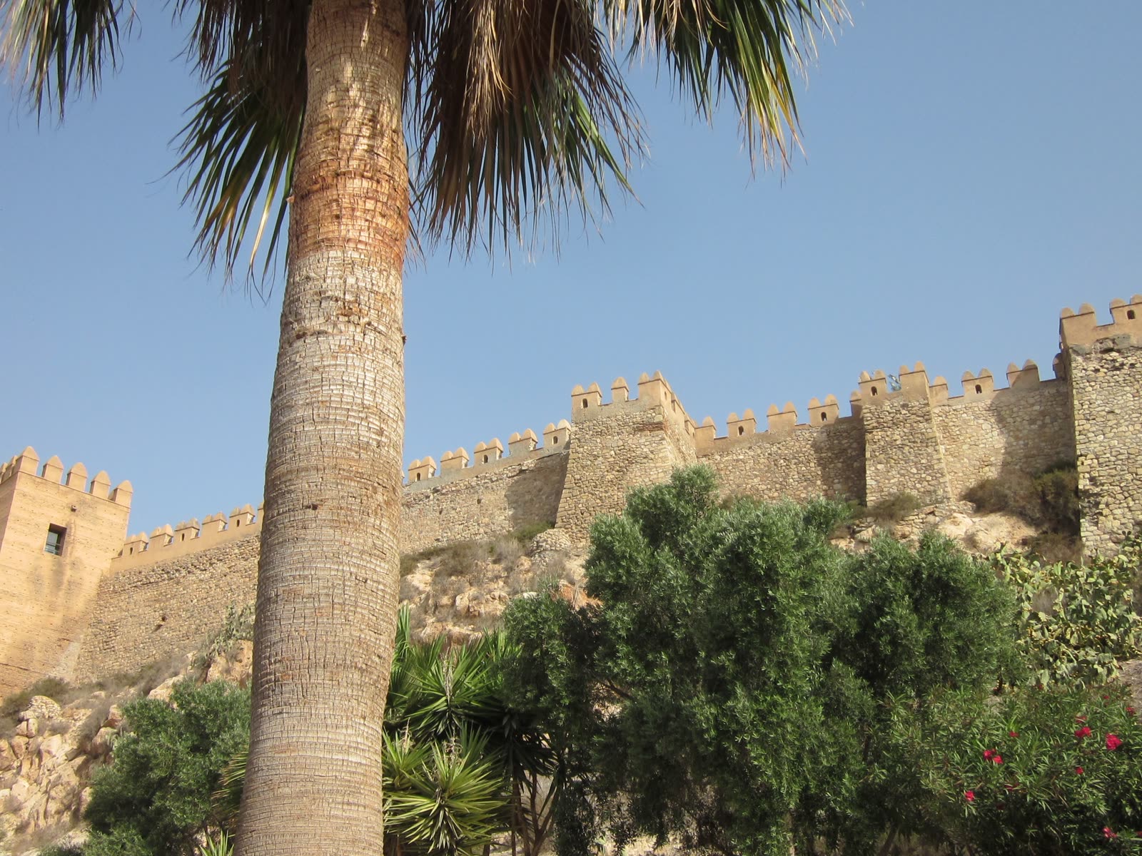 Muralla exterior de la Alcazaba de Almería entre vegetación mediterránea