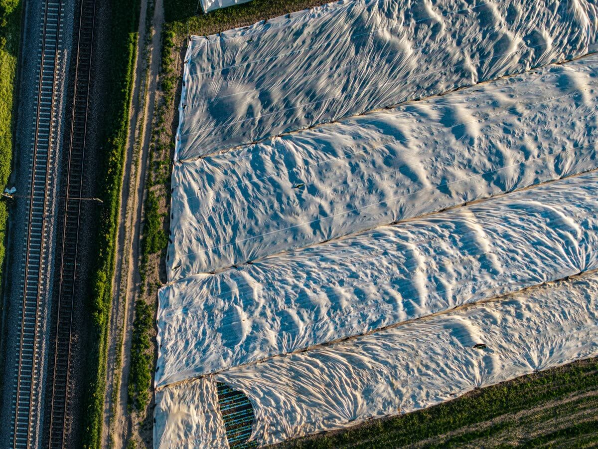 Vista aérea de hileras de invernaderos de plástico blanco en el Poniente almeriense