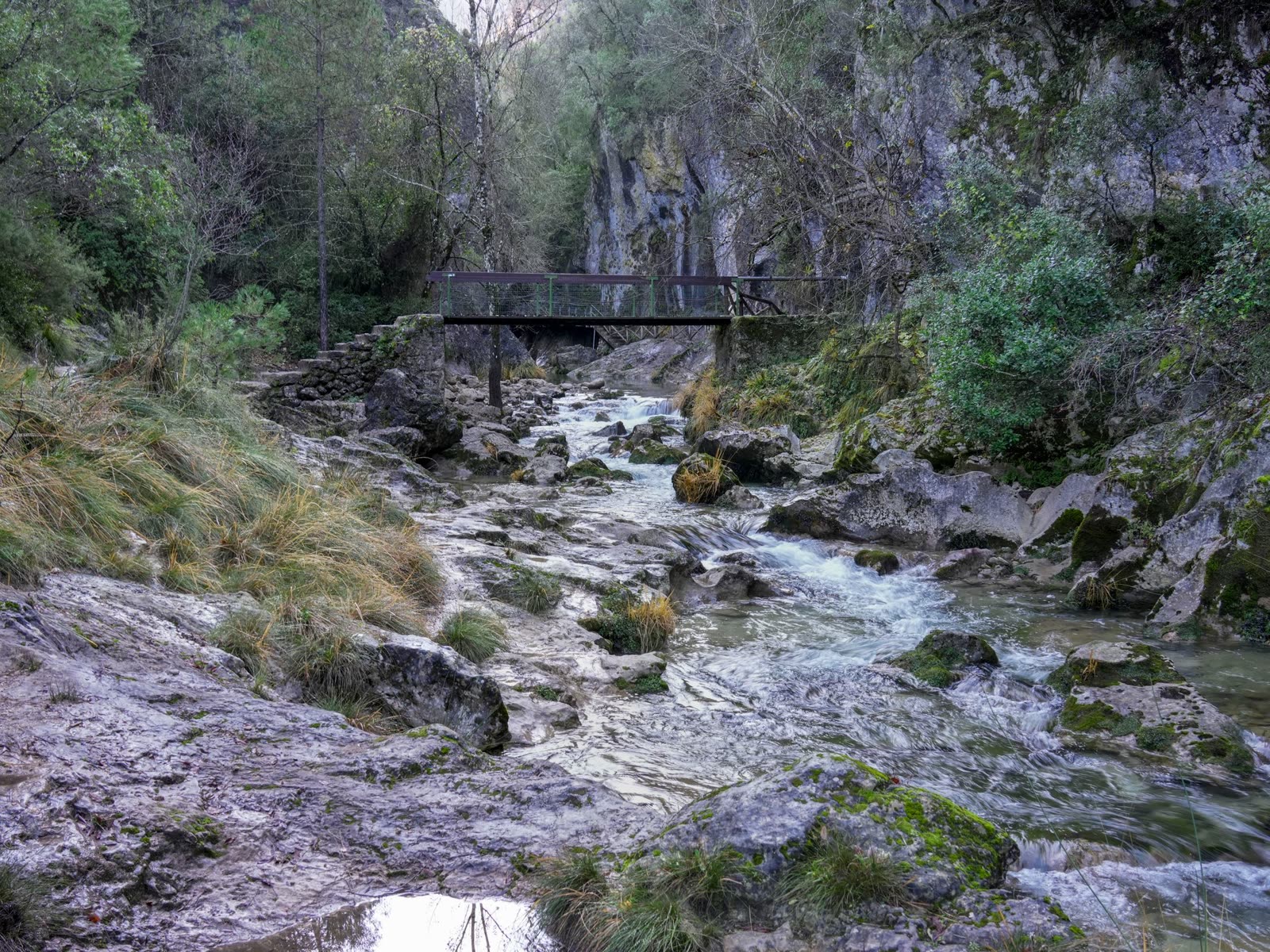 Puente de madera sobre el río Borosa entre paredes rocosas en el Parque Natural de Cazorla