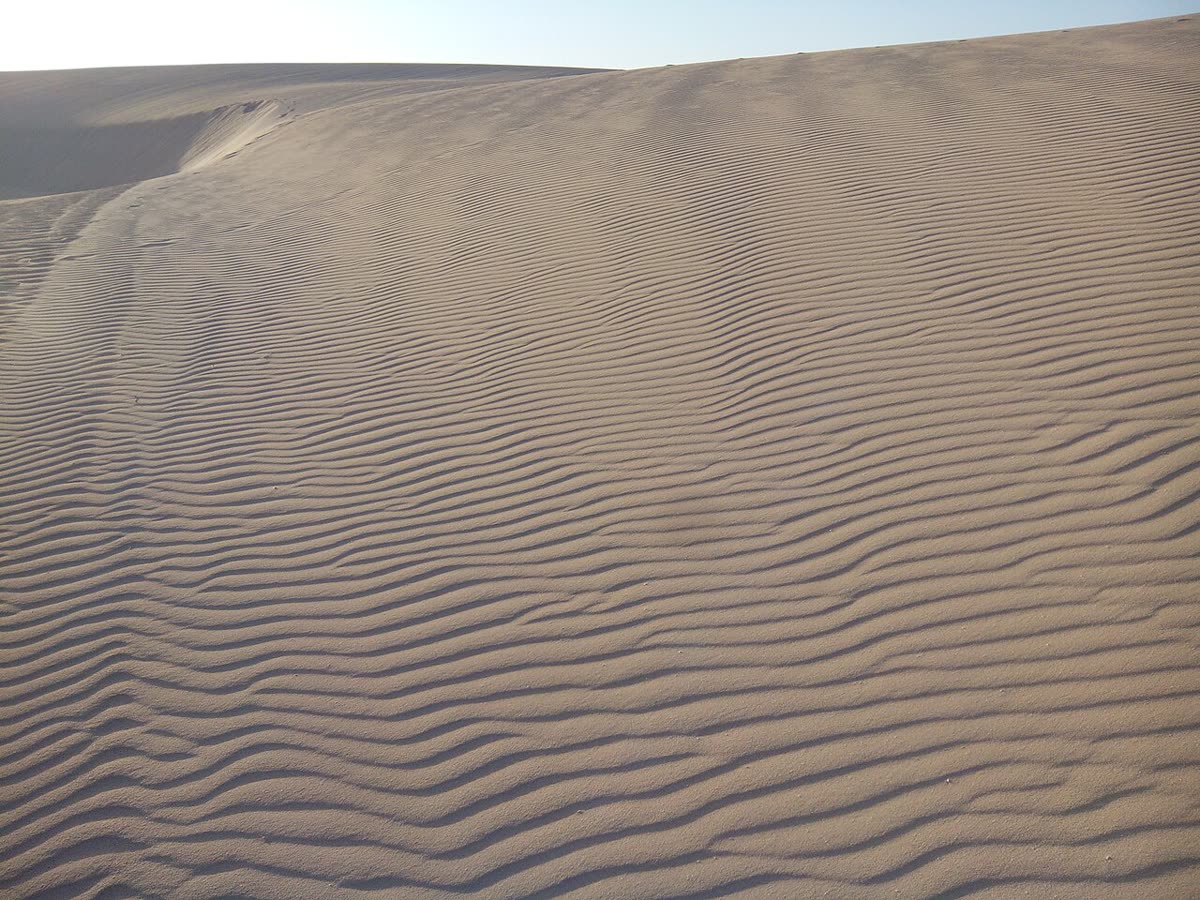 Dunas de arena en un paraje costero español — Dunas vírgenes junto al mar