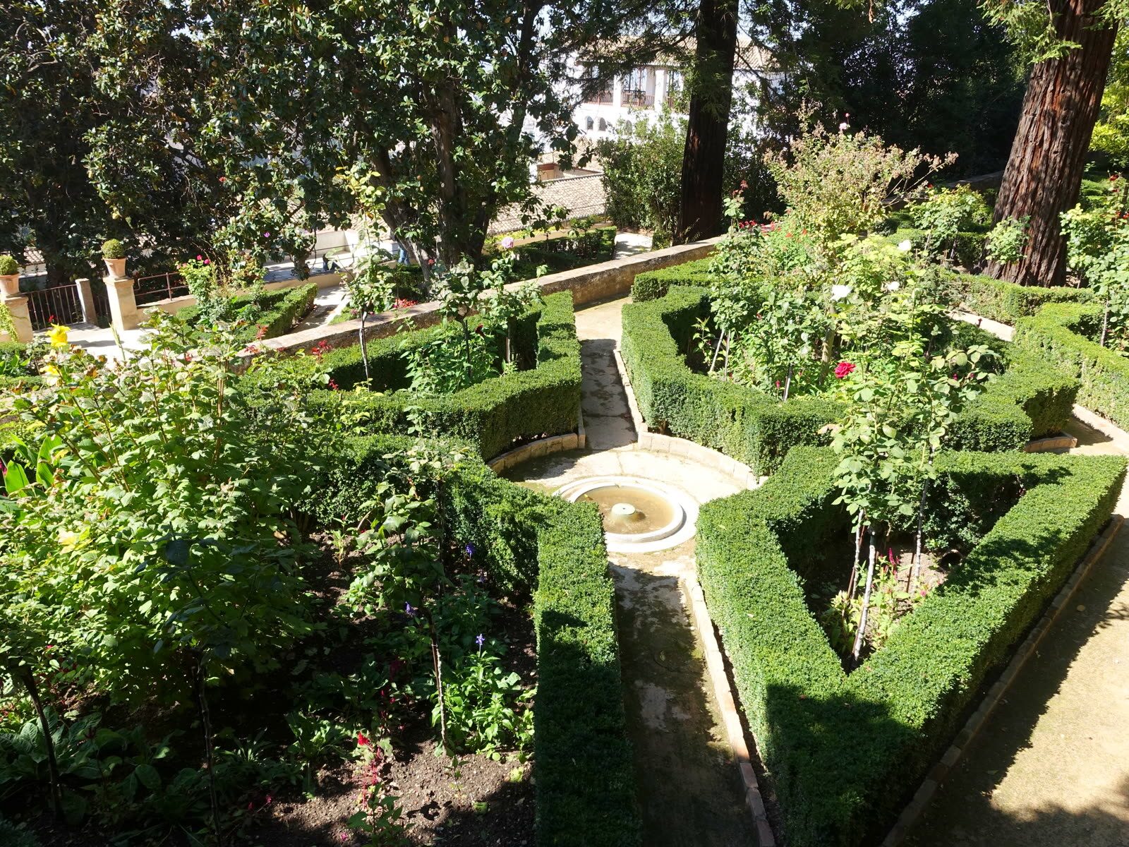 Jardín con setos, arbolado y una fuente central, representativo del ambiente botánico de Puerto de la Cruz — Casco histórico y Jardín Botánico