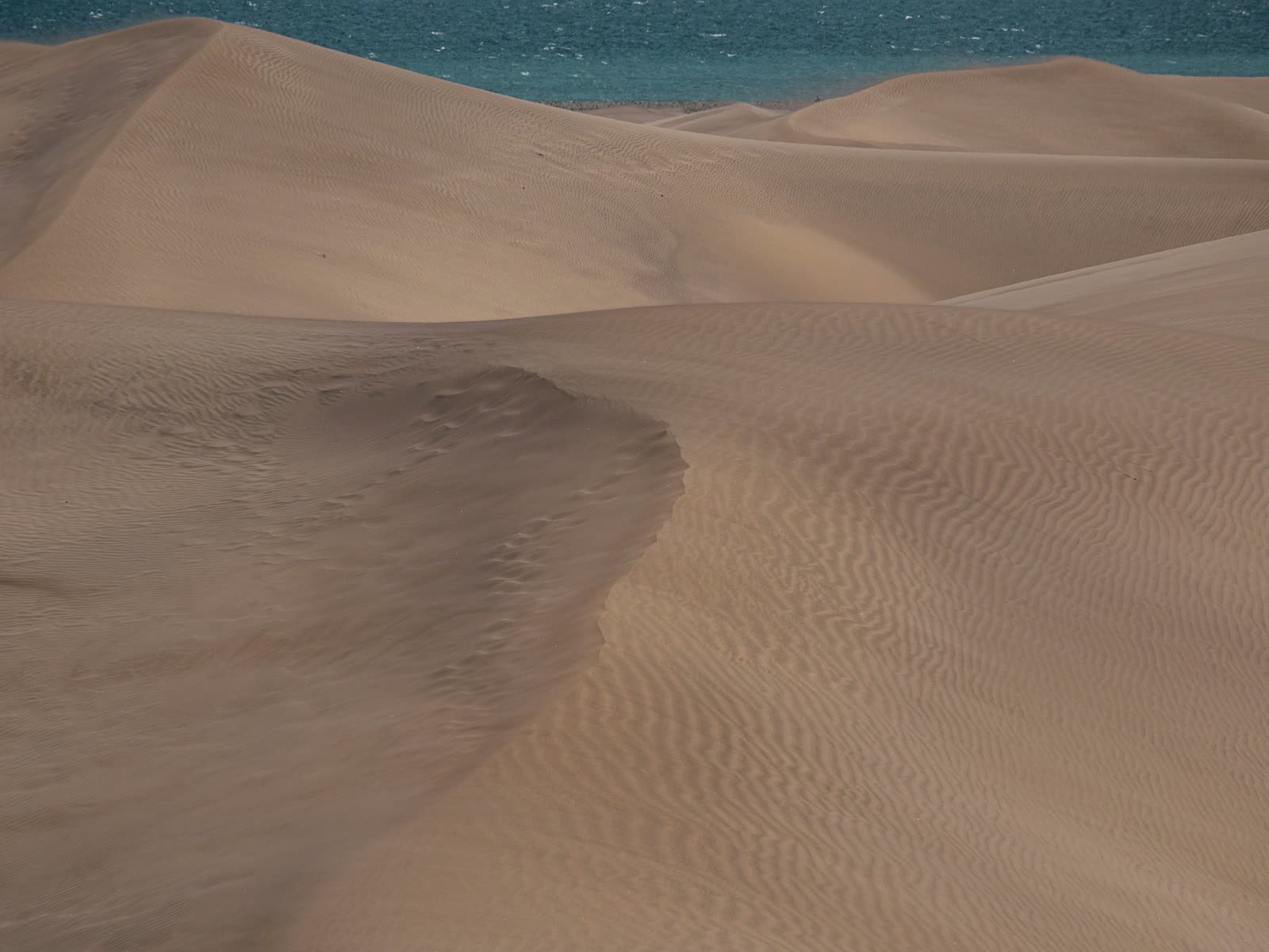 Dunas de Maspalomas en Gran Canaria con el océano Atlántico al fondo