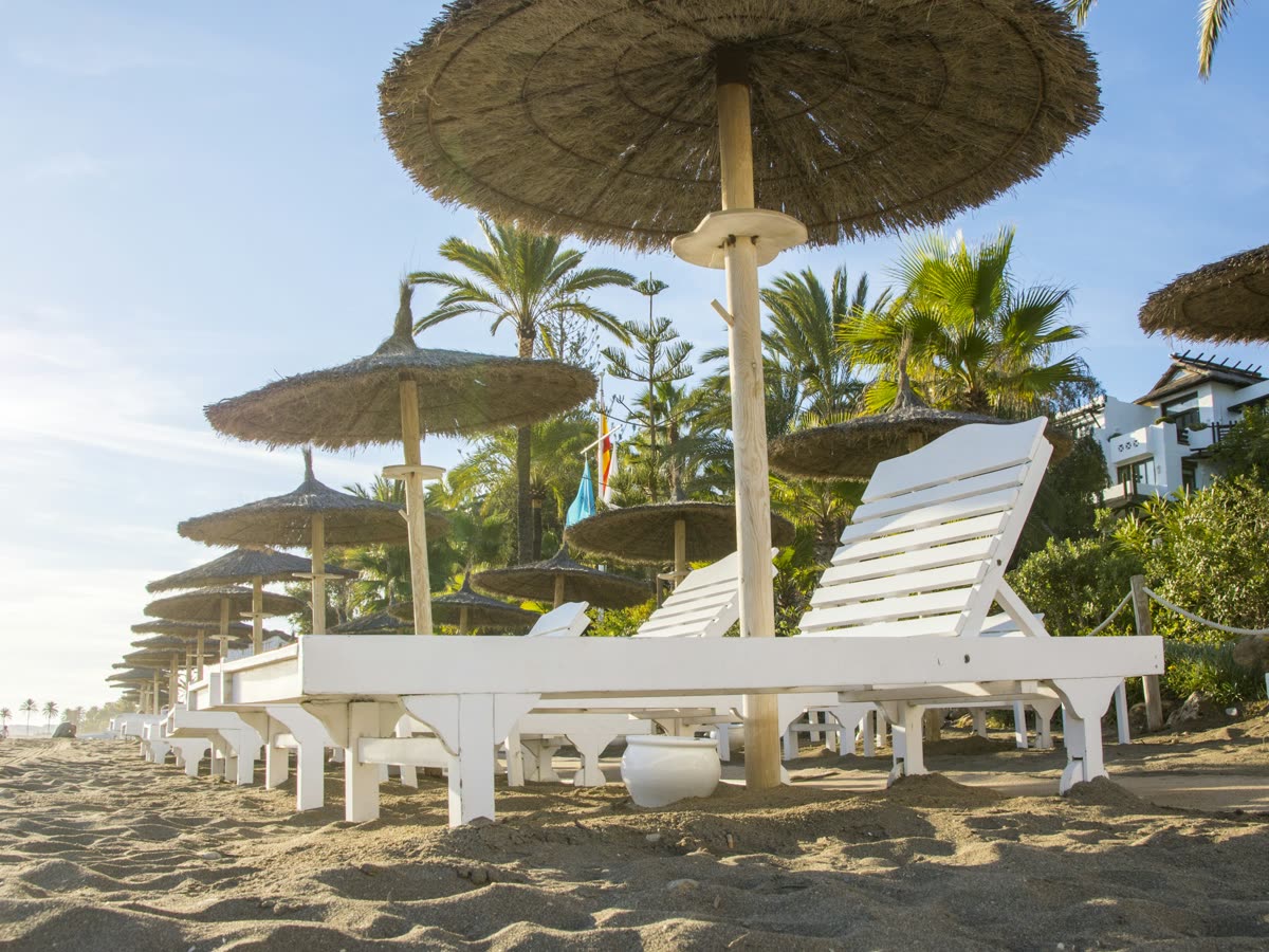 Hamacas y sombrillas de palma en una playa de Marbella junto a varias palmeras