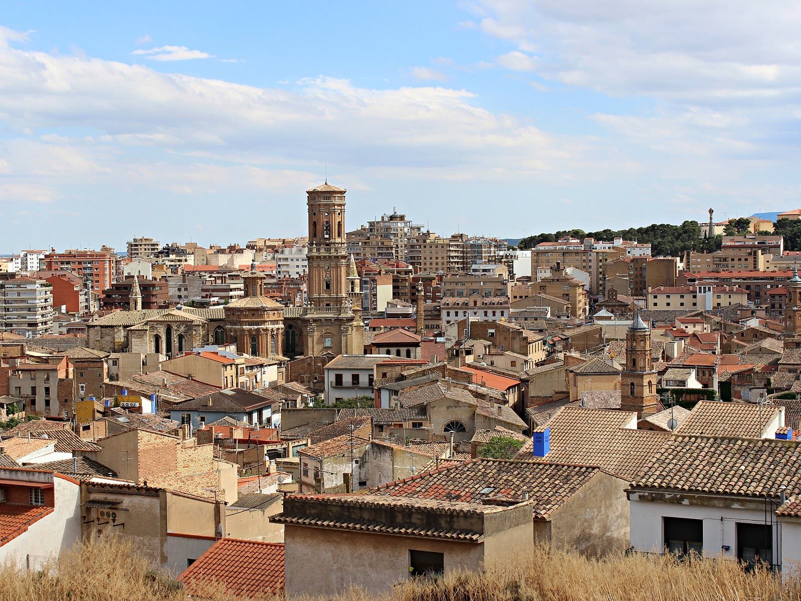 Skyline de Tudela con la torre de la Catedral sobre los tejados