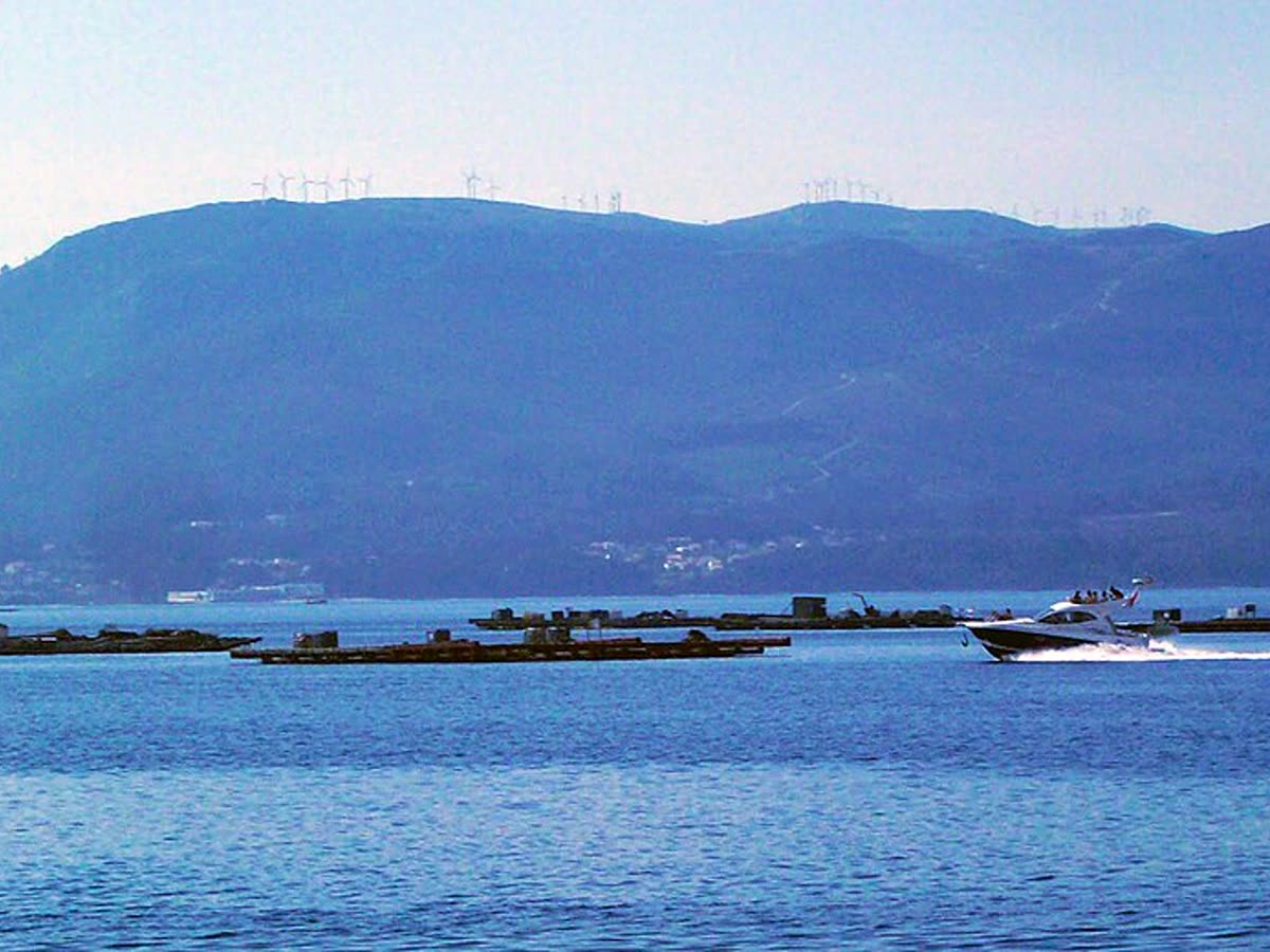 Bateas de mejillón flotando en la Ría de Arousa, frente a O Grove