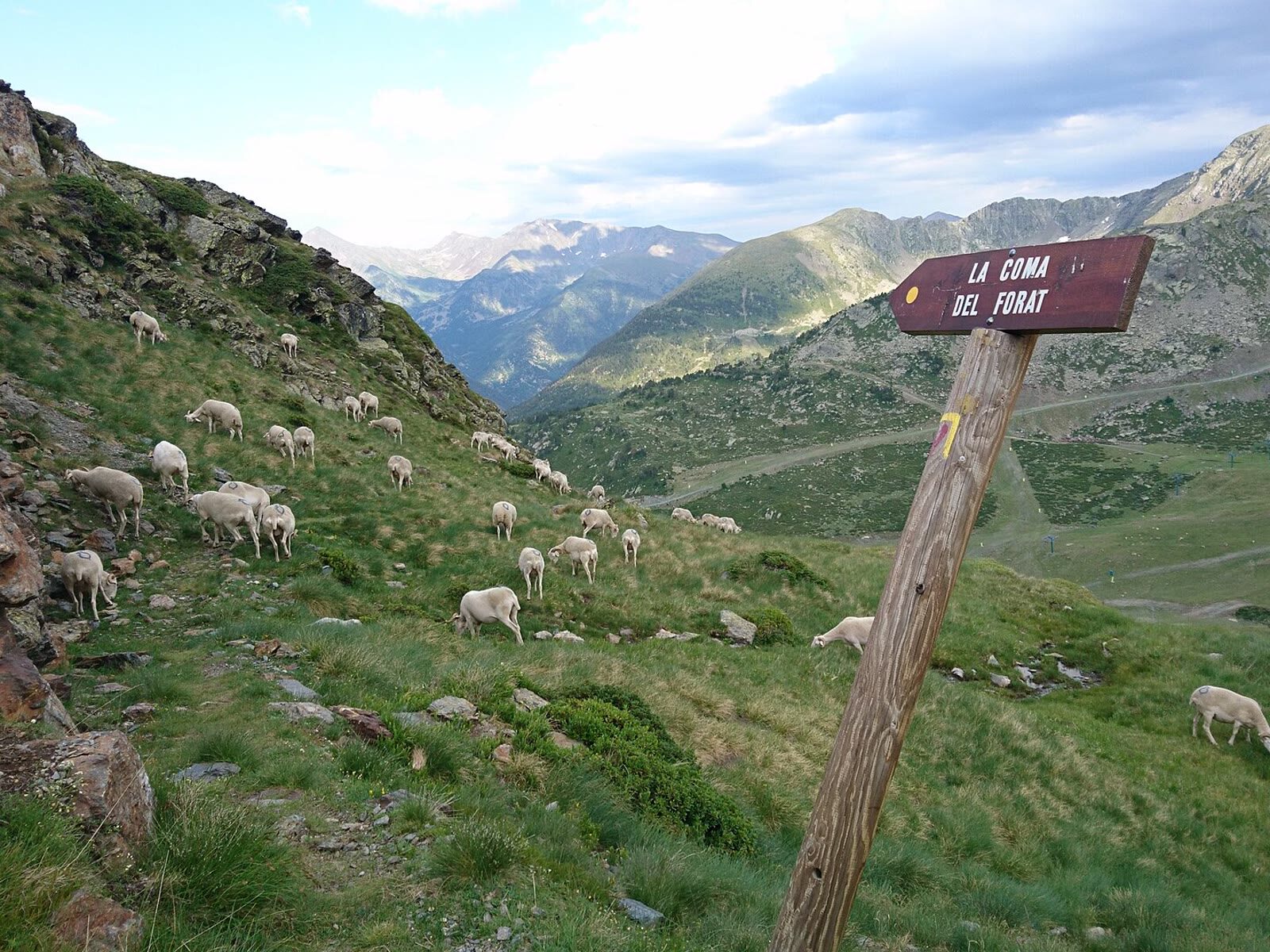 Valle de Ordino-Arcalís con pastos de alta montaña y las pistas de esquí al fondo
