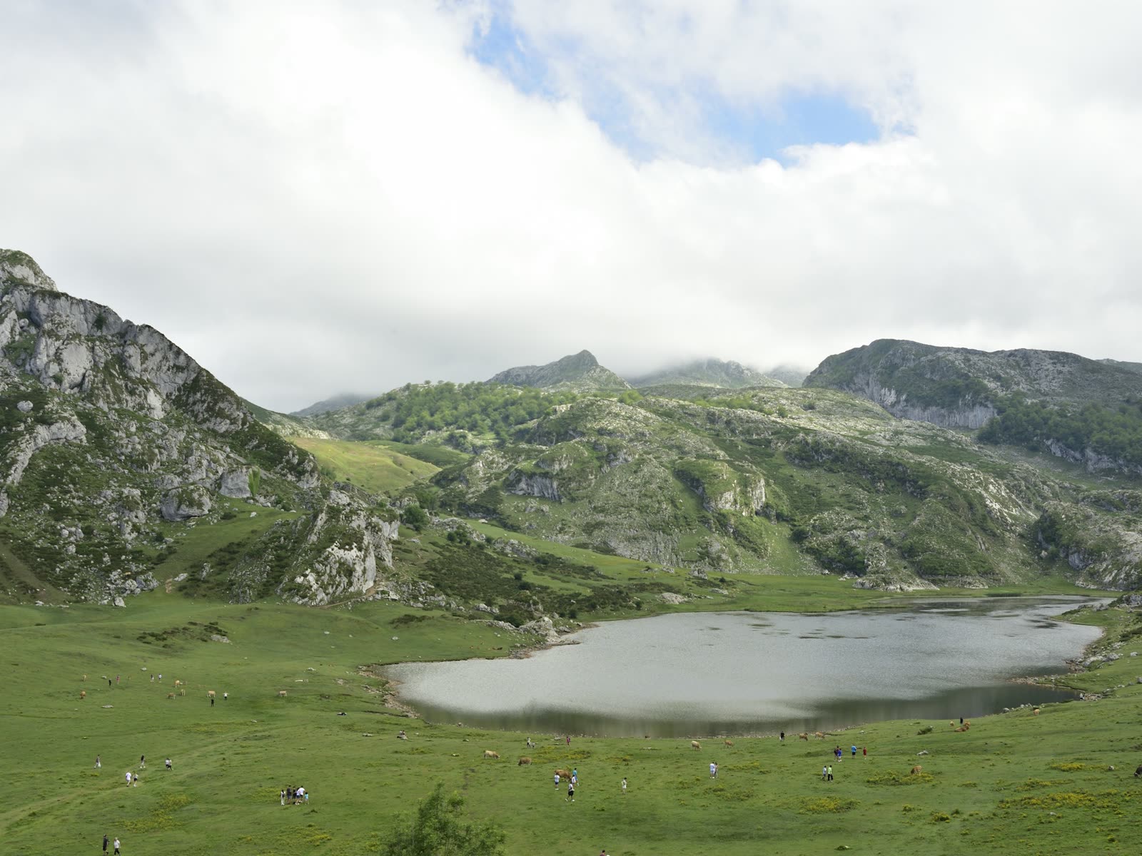 Lago de origen glaciar en los Lagos de Covadonga rodeado de montañas verdes