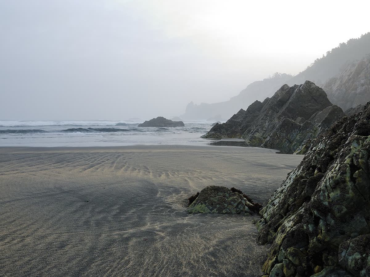 Playa atlántica con dunas, en un entorno de costa protegida