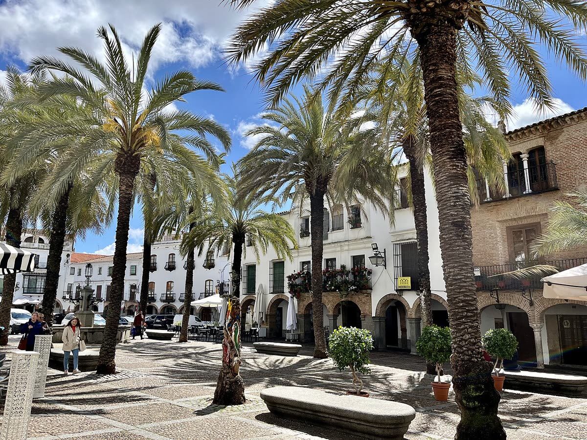 Plaza Grande porticada de Zafra con palmeras y soportales — Plaza Grande y Plaza Chica