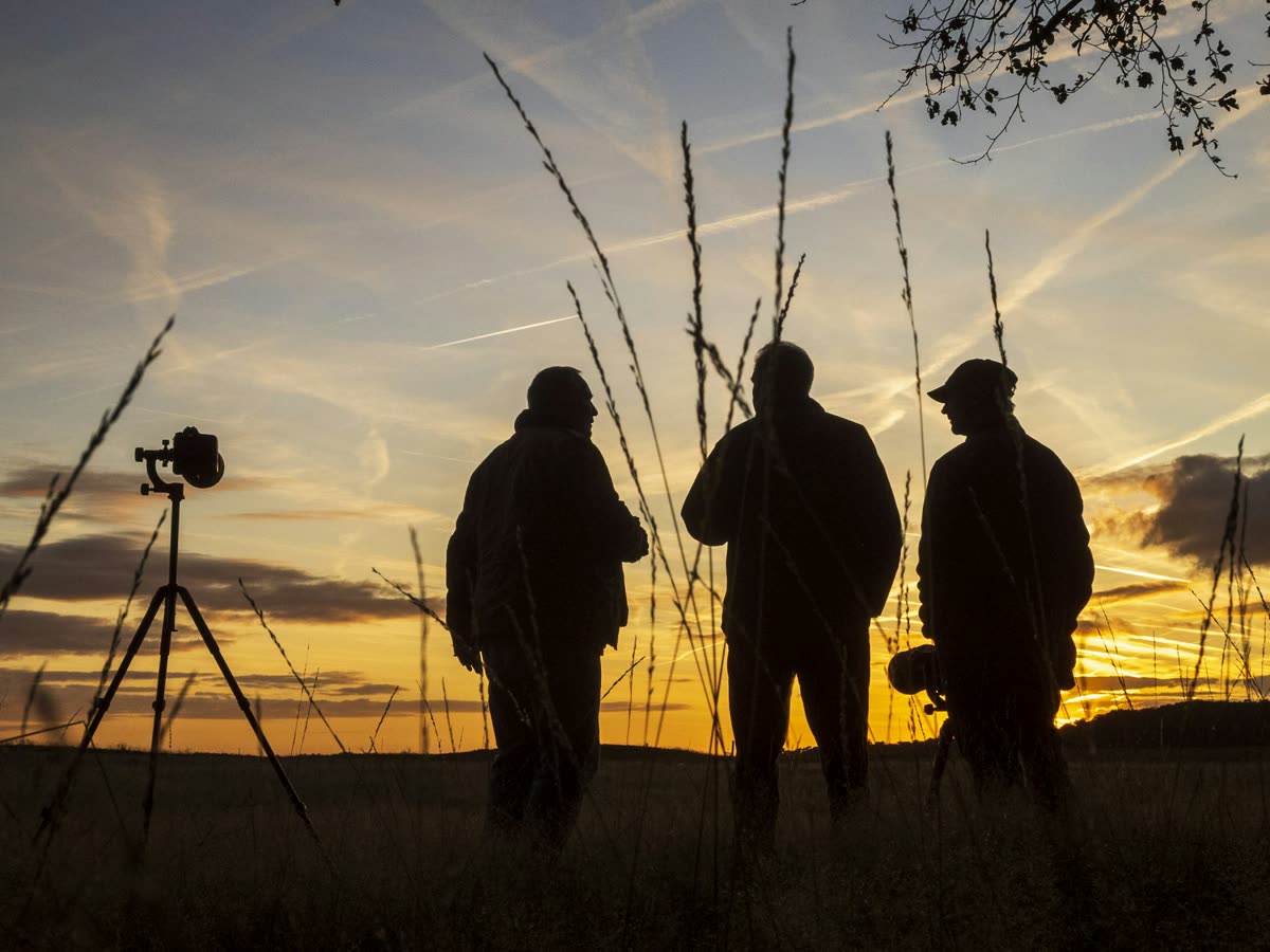 Equipo de producción audiovisual trabajando al atardecer
