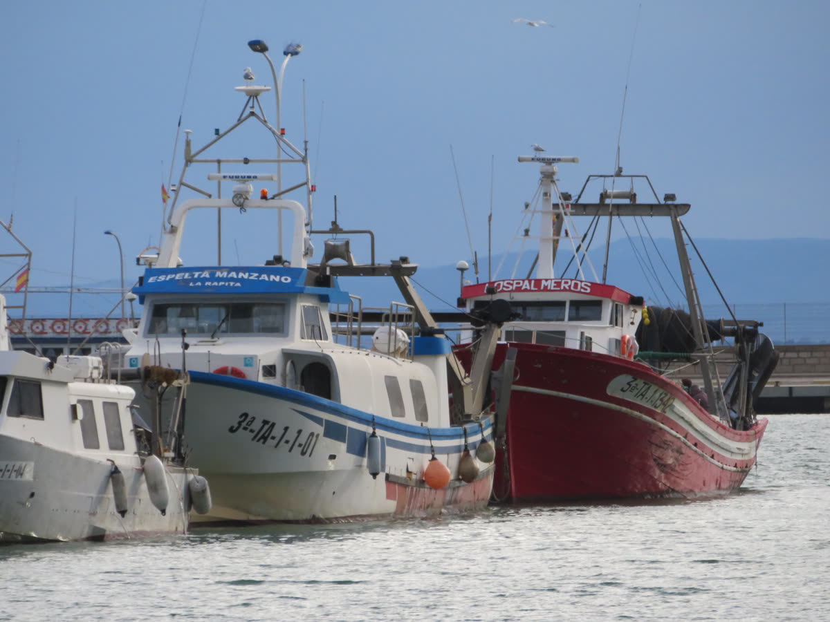 Puerto pesquero español con barcas tradicionales — Puerto pesquero