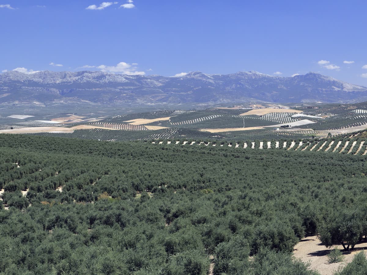 Sierra o valle verde rural español
