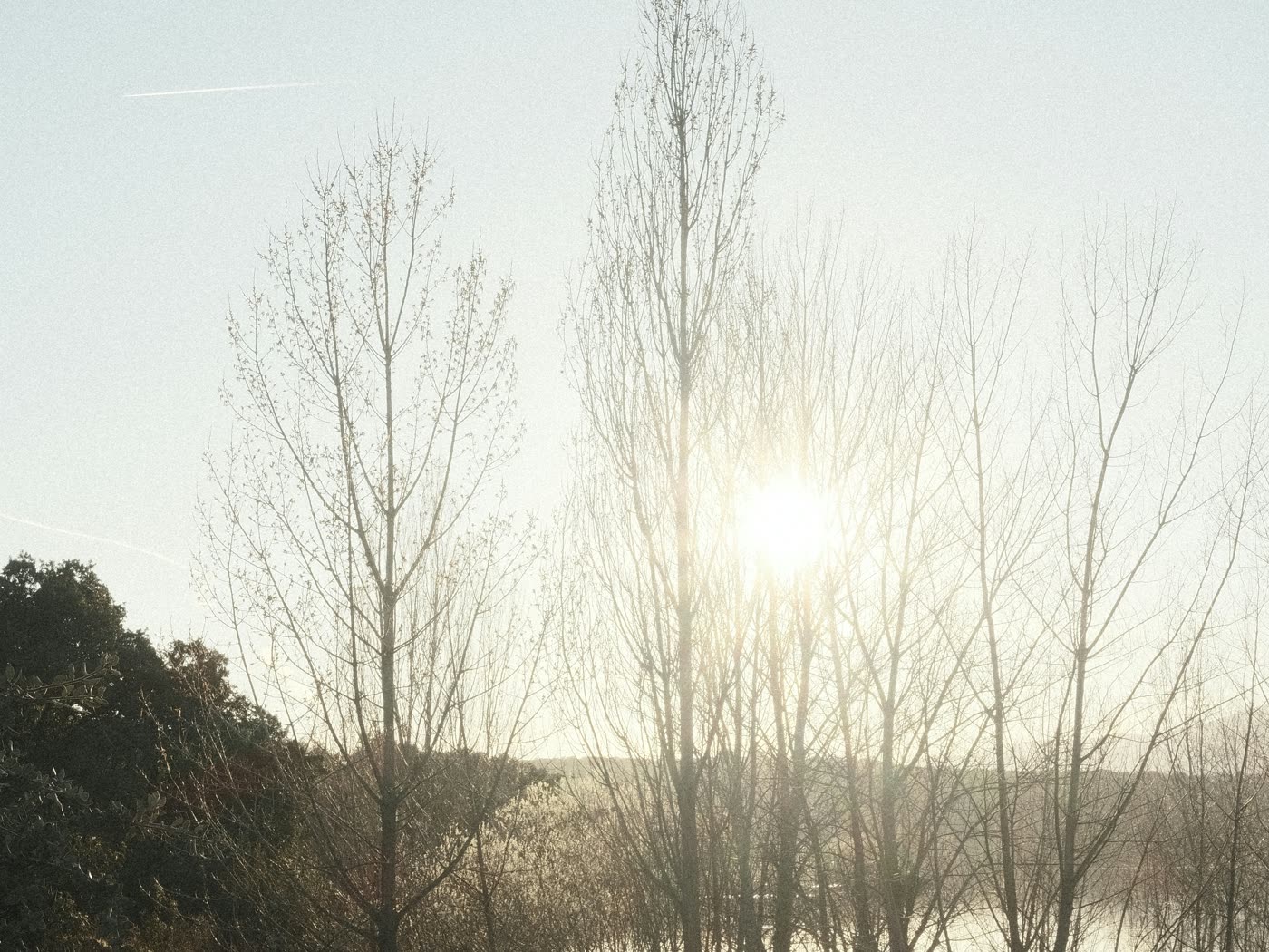 Árboles reflejados en las aguas del embalse de Valmayor, Valdemorillo