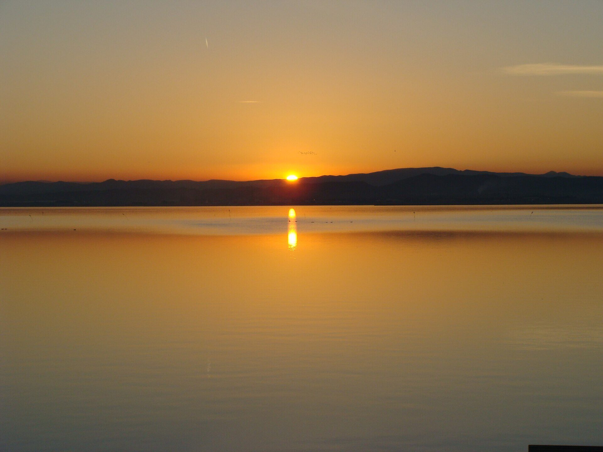 Atardecer sobre la Albufera de Valencia reflejado en el agua