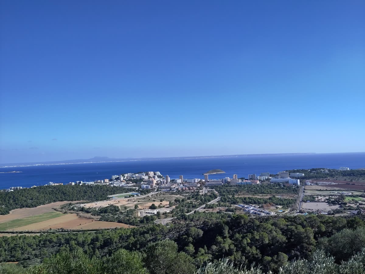 Vista elevada de la bahía de Magaluf con su franja hotelera junto al mar, desde el Puig d'en Saragossa