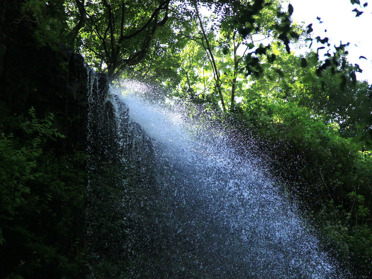 Cascada en el Barranco del Agua, dentro del bosque de Los Tilos de San Andrés y Sauces