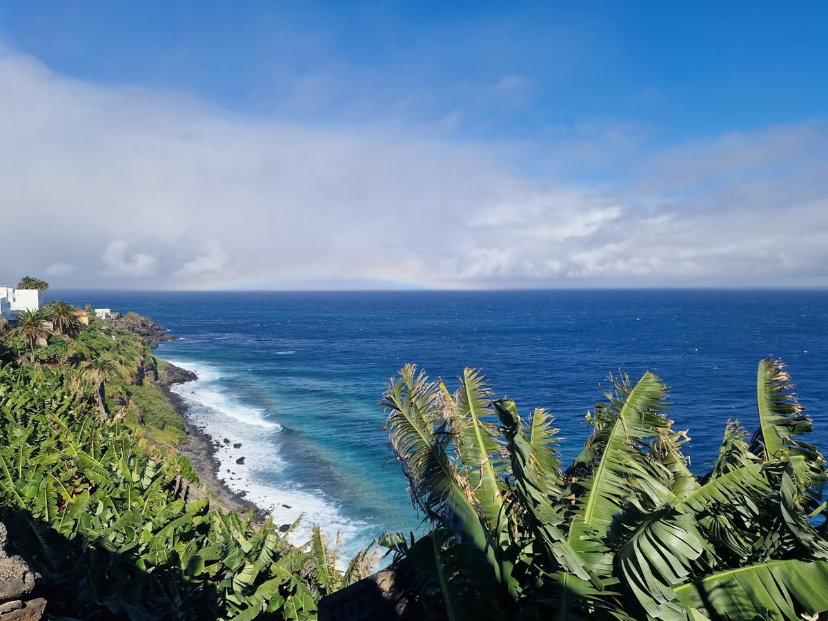 Plataneras de San Andrés y Sauces descendiendo hacia los acantilados de la costa de La Palma