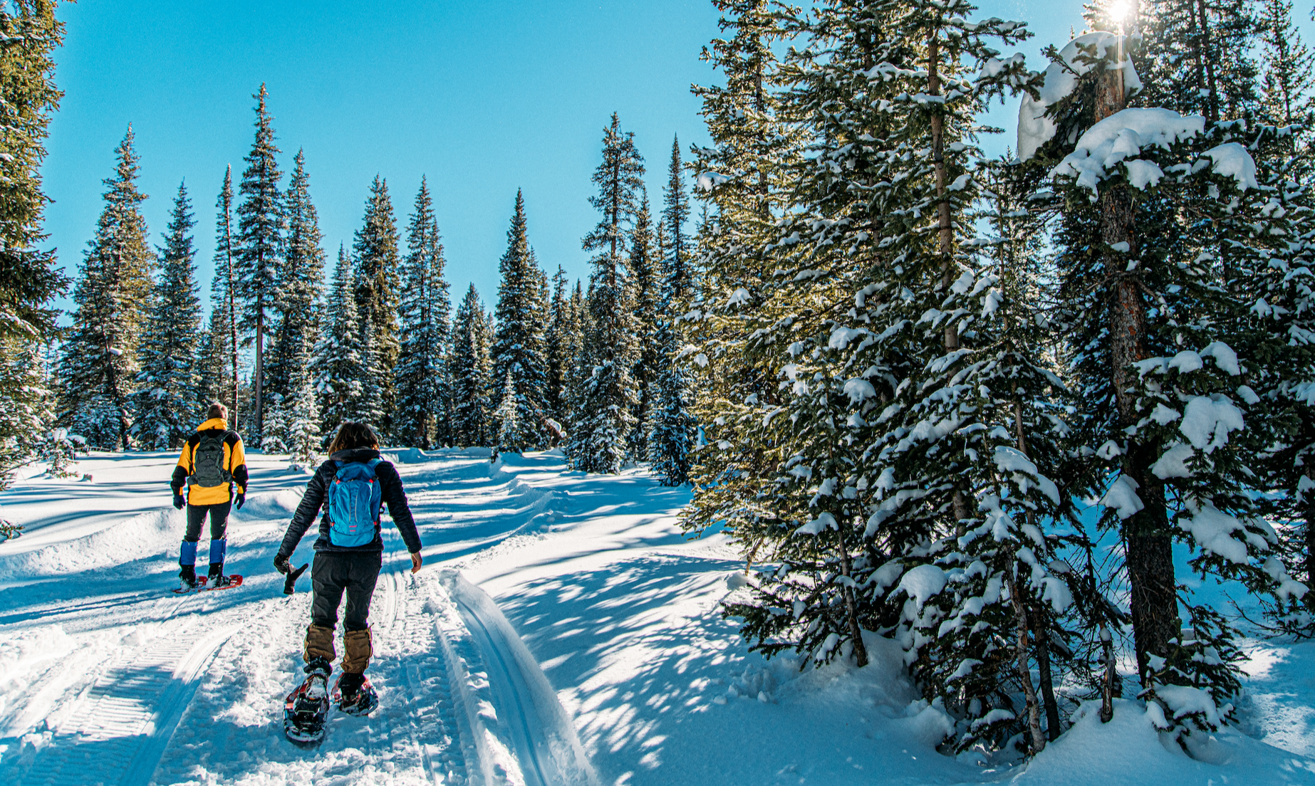 Snowshoes Outdoor