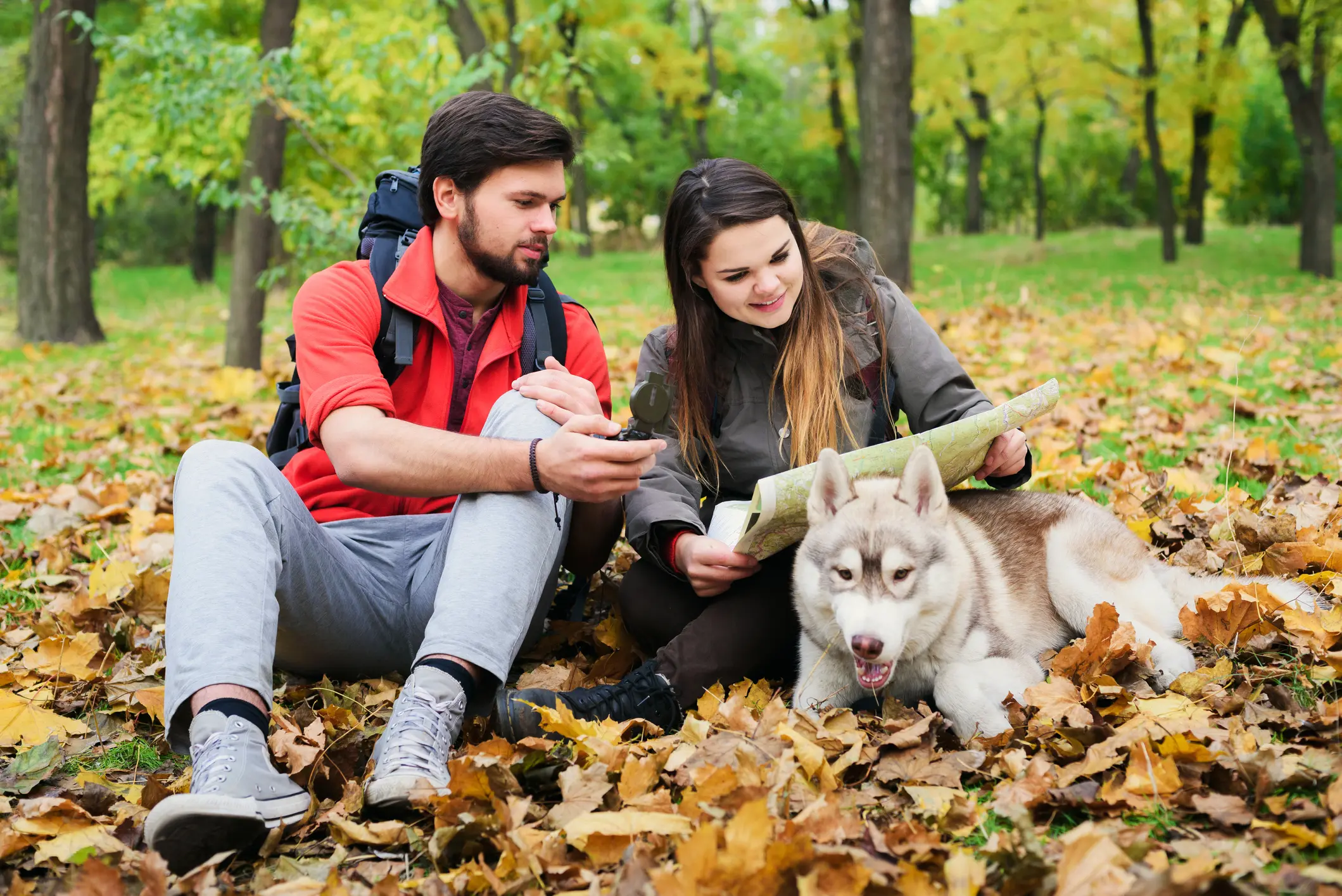 Husky-Sport-Abenteuer mit Quipleon – Outdoor-Spaß für Hundefreunde