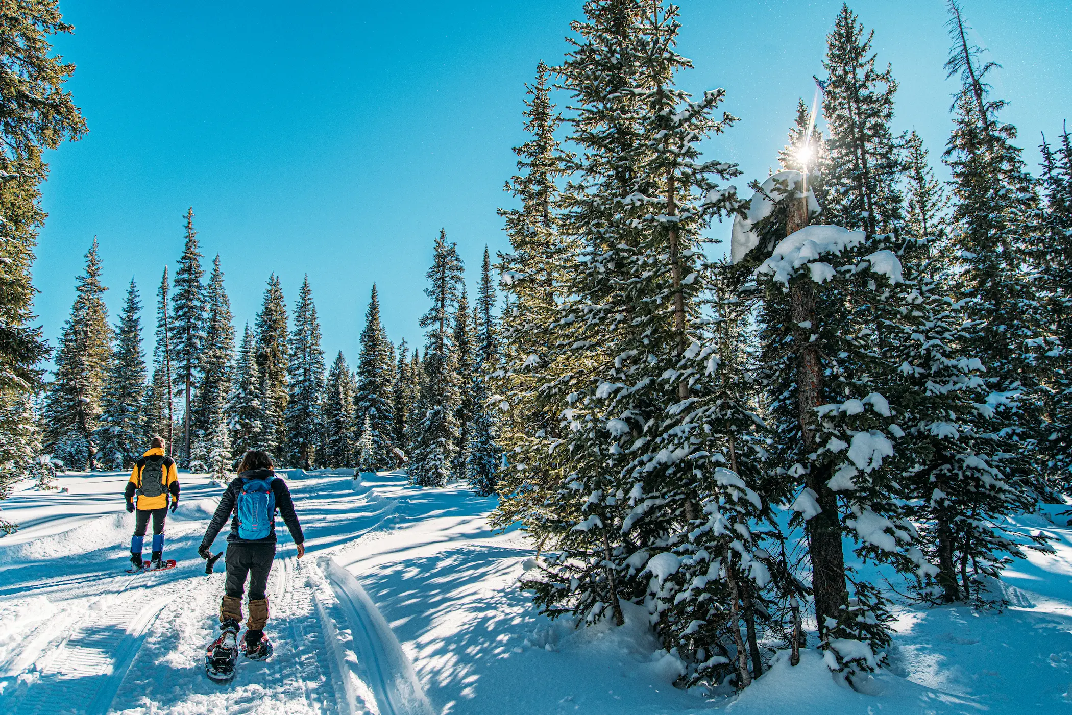 Schneeschuh-Abenteuer mit Quipleon – winterliche Naturerkundung in verschneiter Landschaft