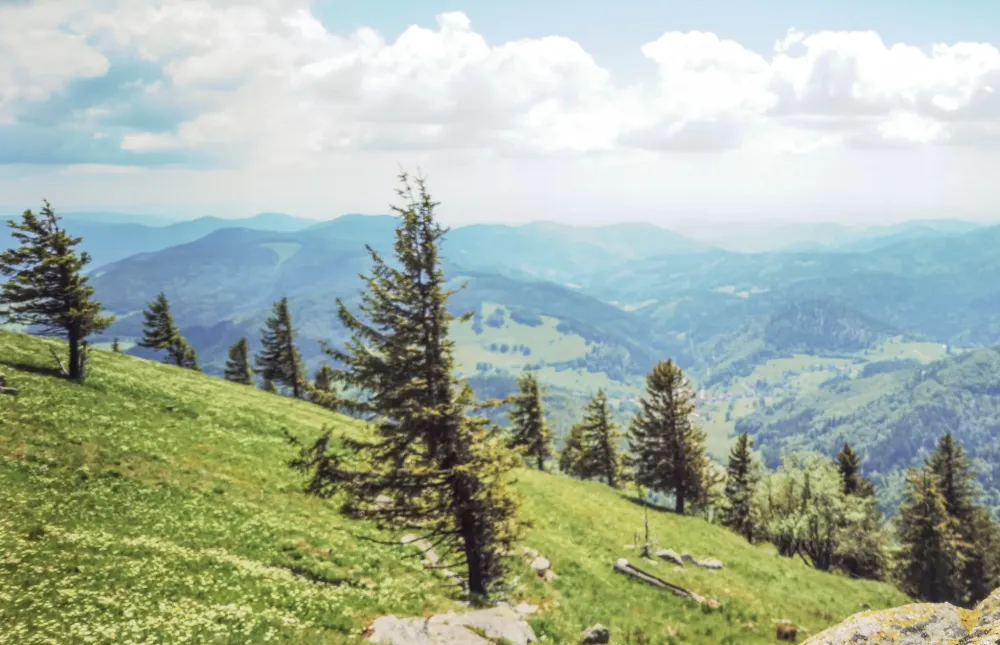 Bergabenteuer am Belchen - Entdecken Sie mit Quipleon