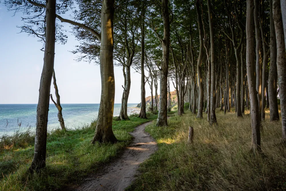 Küstensport an der Ostsee - Abenteuer mit Quipleon