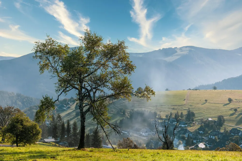 Outdoor-Abenteuer im Schwarzwald - Spaß mit Quipleon