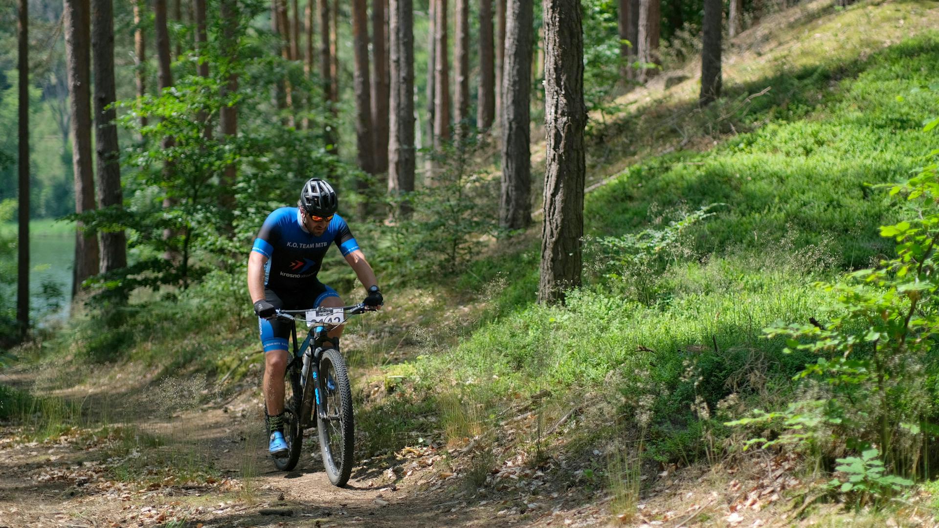 Mountainbiker auf einem Singletrail im Wald von Fontainebleau – Quipleon