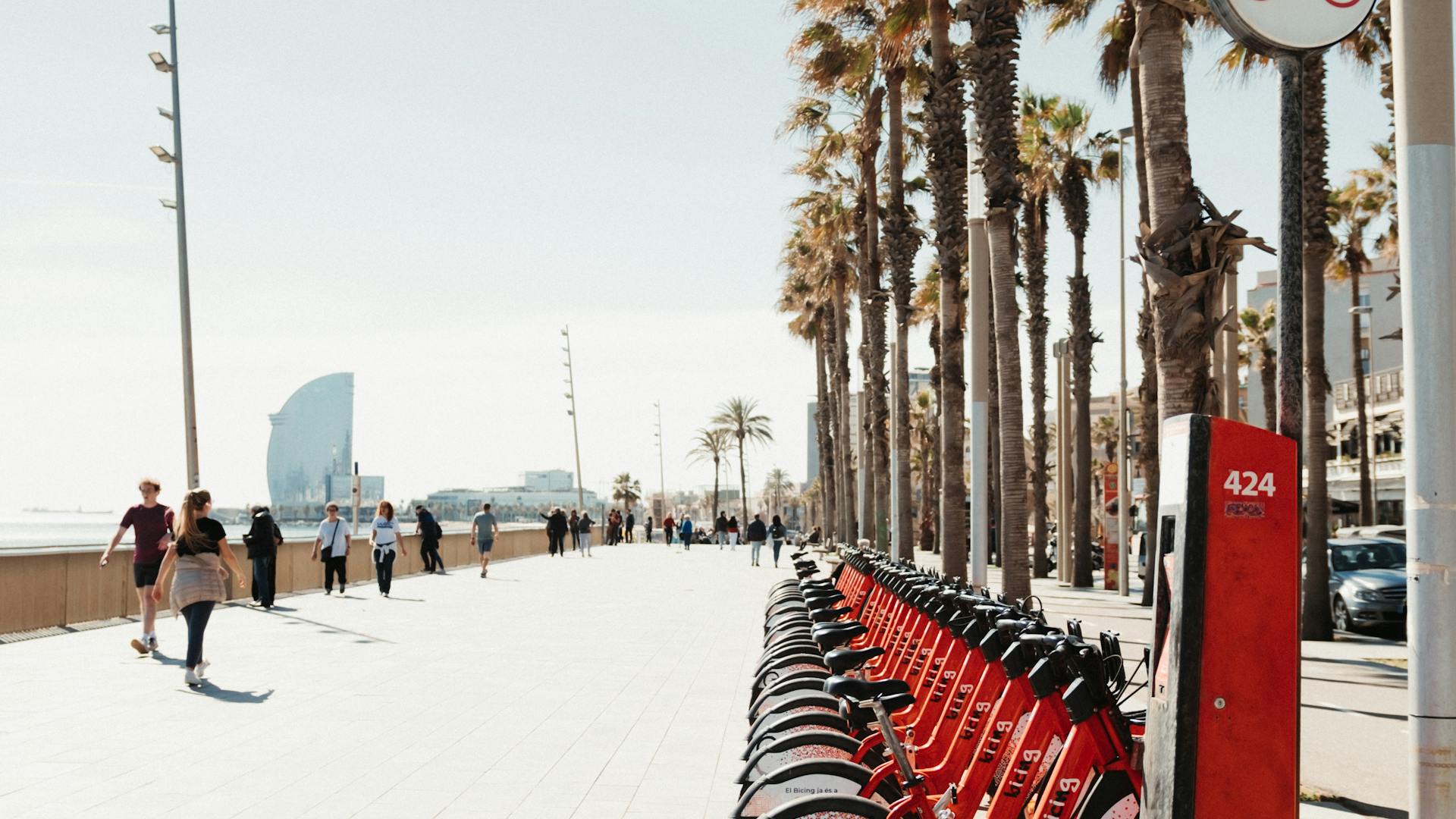 Reihe von Leihrädern an einer Palmenpromenade in Barcelona – Stadtrad mit Quipleon