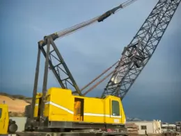 American 8460 Cranes 2