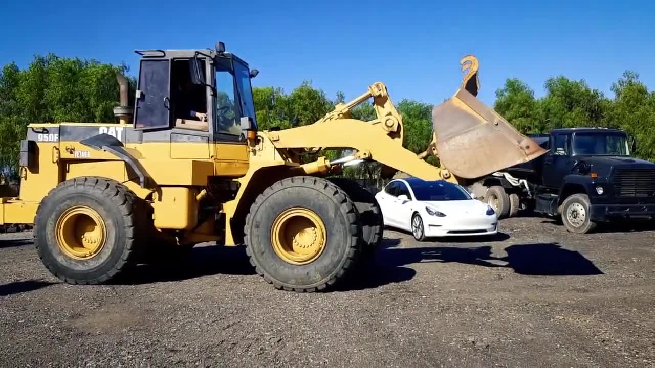 Cat_950F_1