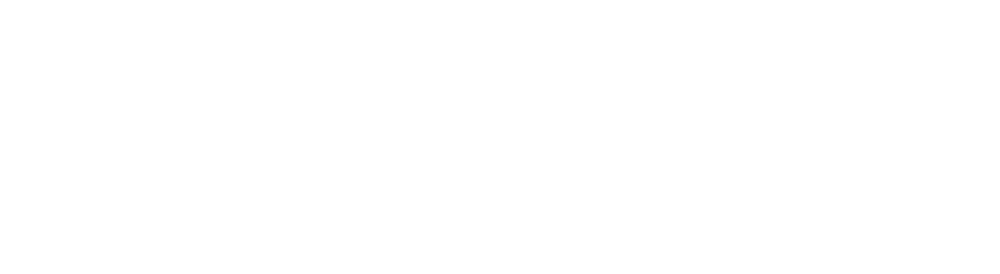 Microsoft Dynamics NAV