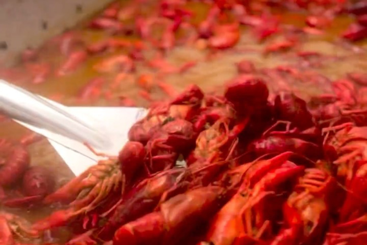 Down South CaJJun Eats