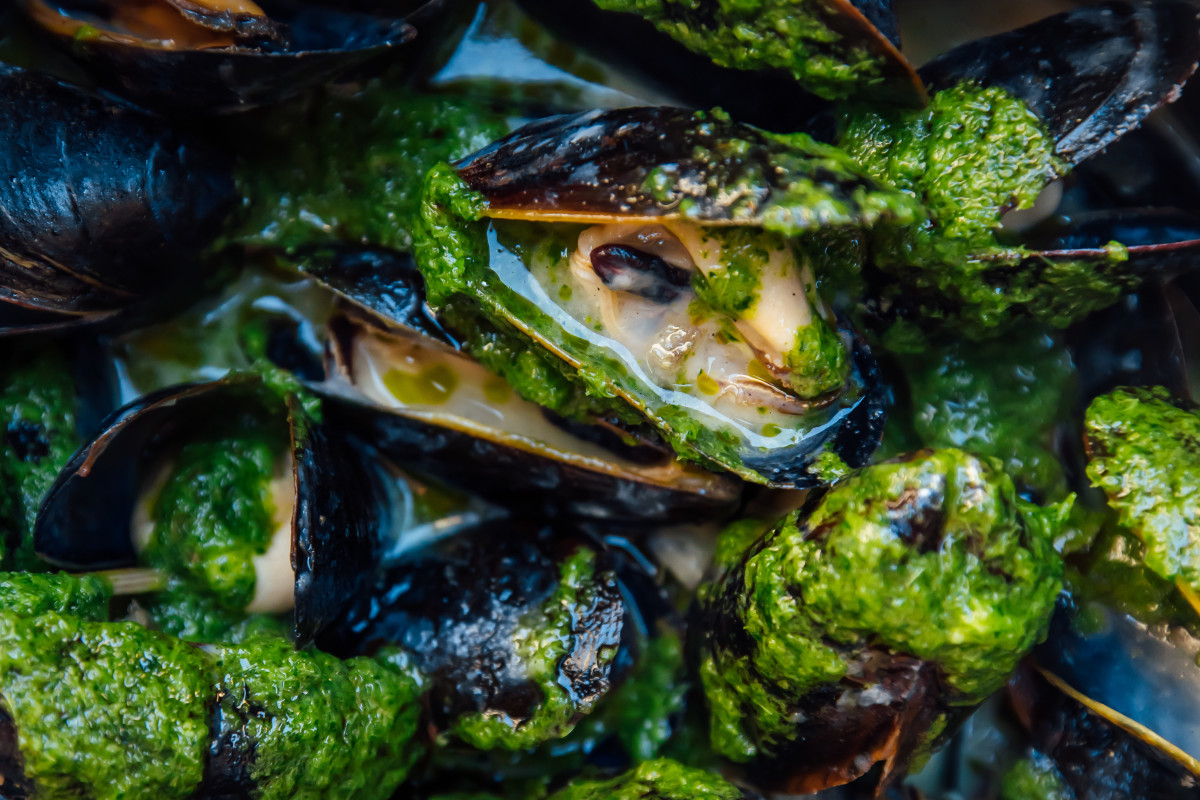 Flex Mussels