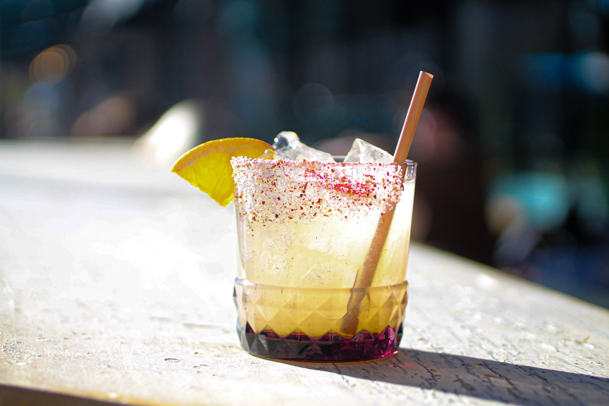 Señor Bear