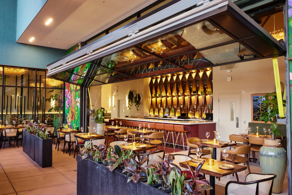 Pippal - Dublin
