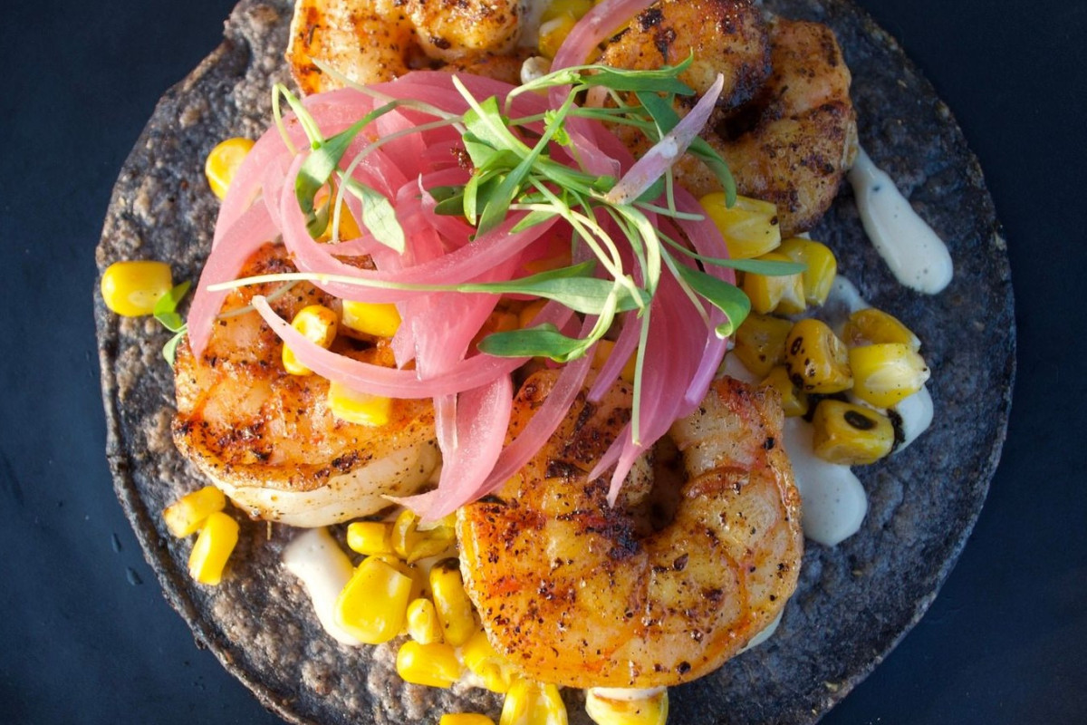 Casa Masa - Siesta Key