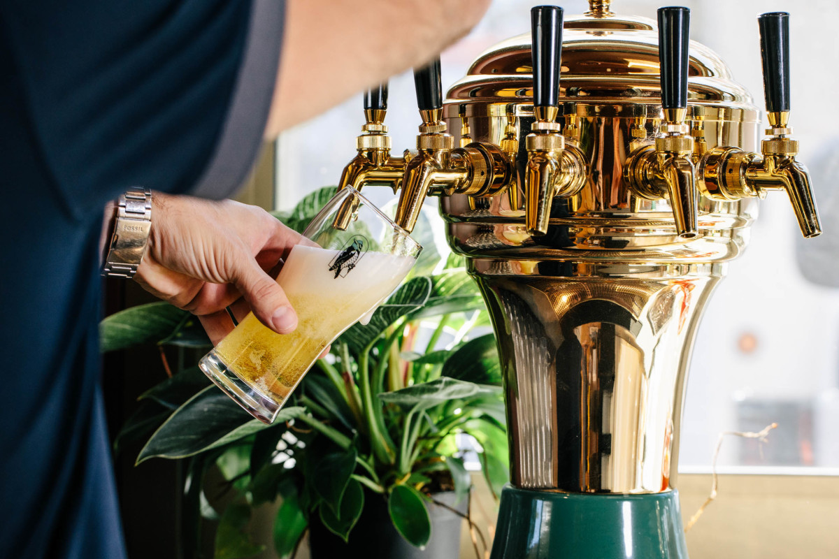 The Green Woodpecker